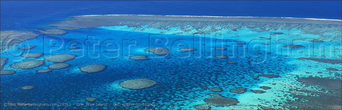 Peter Bellingham Photography One Tree Island - QLD (PBH4 00 18396)